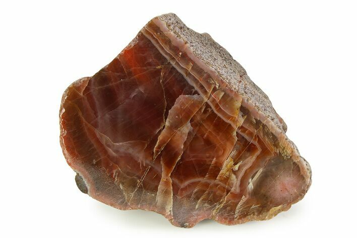 Polished Pilbara Agate Section - Oldest Known Agate #353182